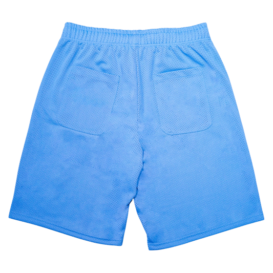 Carpet Company Basketball Shorts - Blue