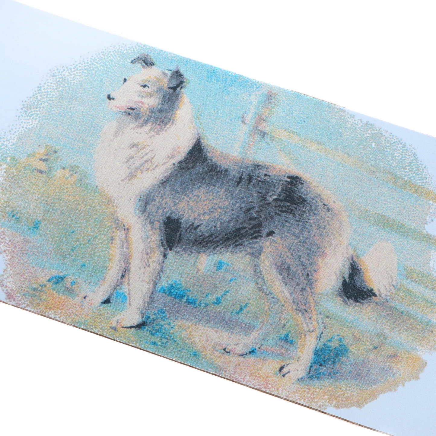 Pass-Port Hybrid Vigour Collie Deck - 8.125