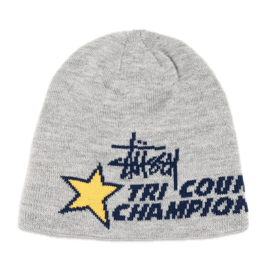 Stussy Tri County Skullcap - Grey