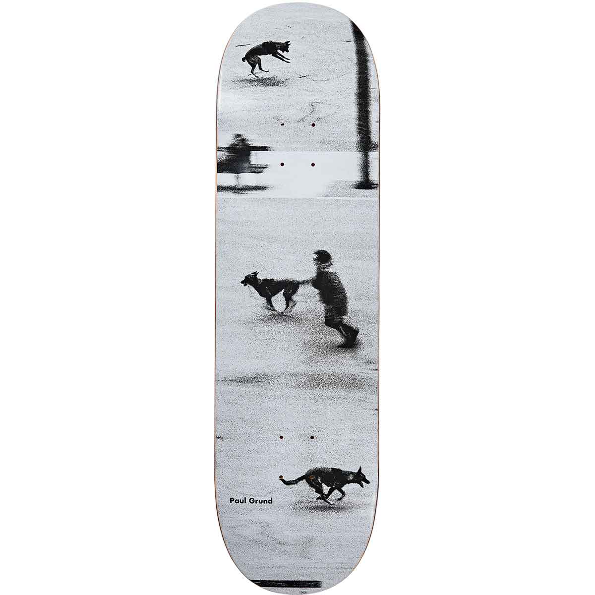 Polar Grund Dog Studies Deck - 8.75
