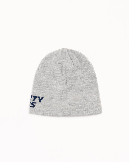 Stussy Tri County Skullcap - Grey