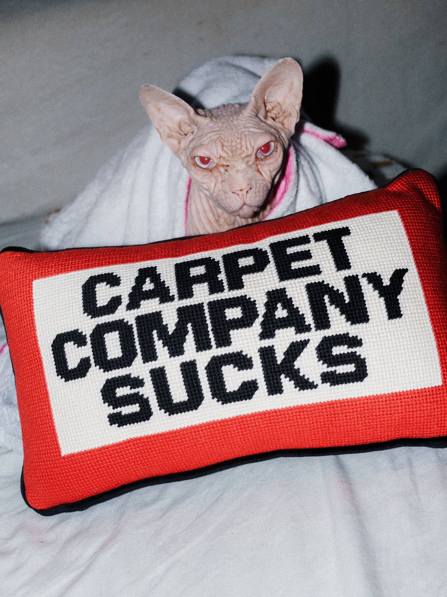 Carpet Company