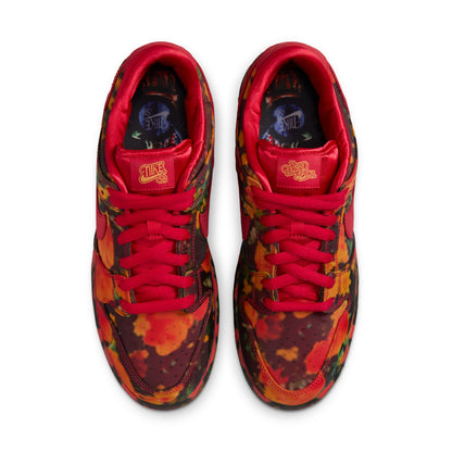 Nike SB Dunk Low Pro Wizard Of Oz - Gym Red/University Red/Multi