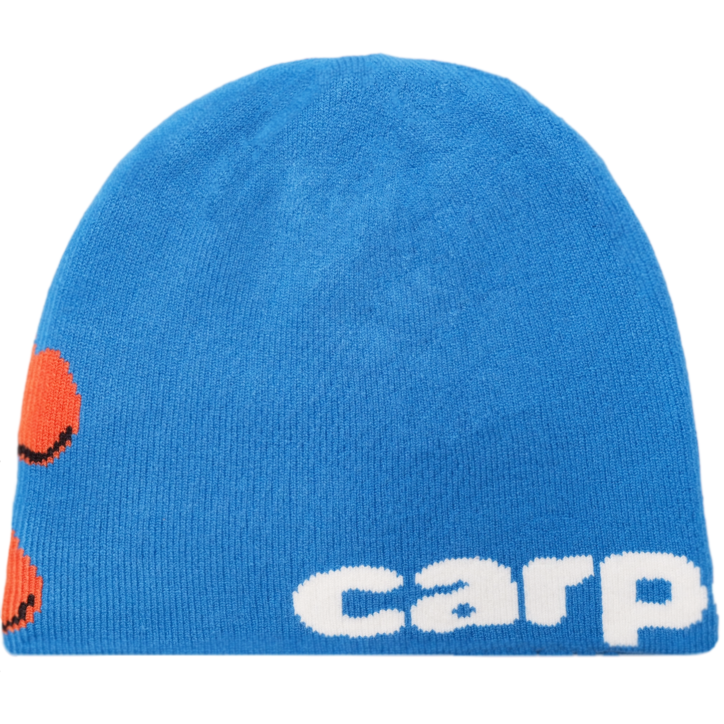 Carpet Company Bacteria Reversible Beanie - Blue