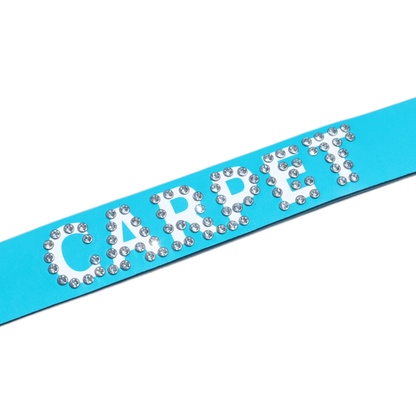 Carpet Company Rhinestone Leather Belt - Carolina Blue