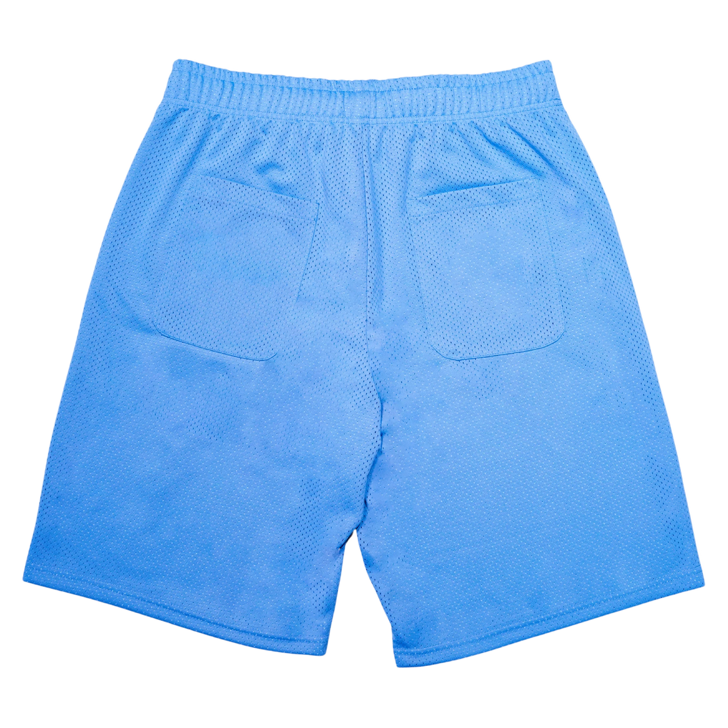 Carpet Company Basketball Shorts - Blue