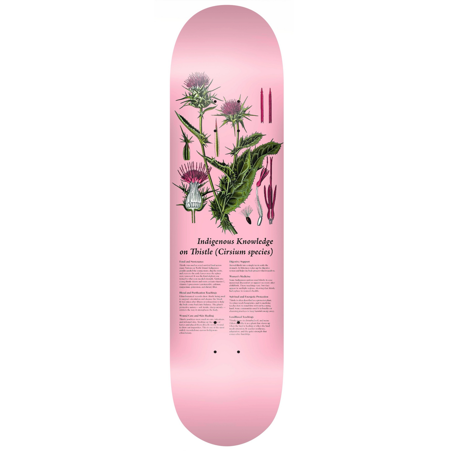Colonialism Indigenous Medicine Plant Series Deck - 8.25 Thistle