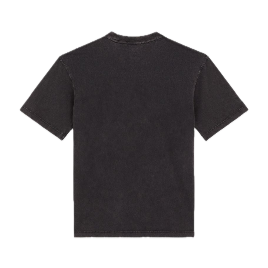 Dickies Plentywood Tee - Washed Black