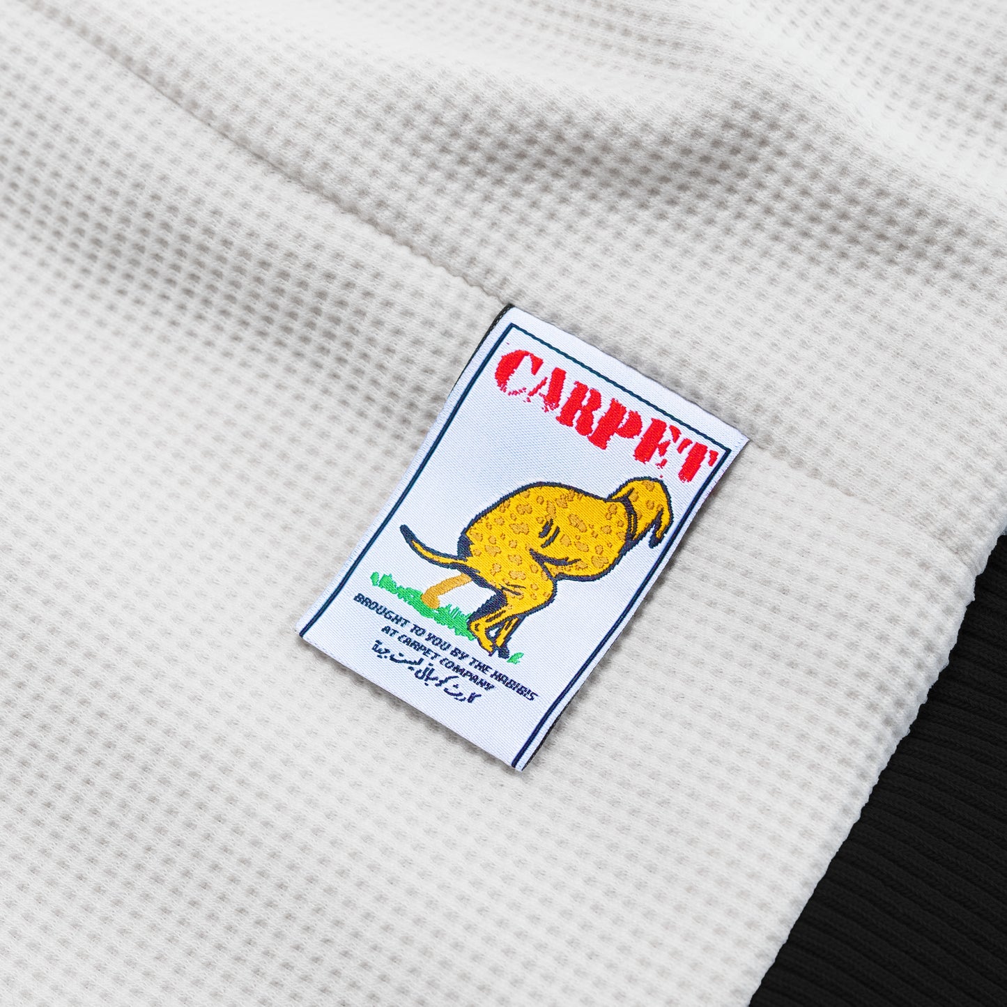 Carpet Company Fleece Hoodie - Black