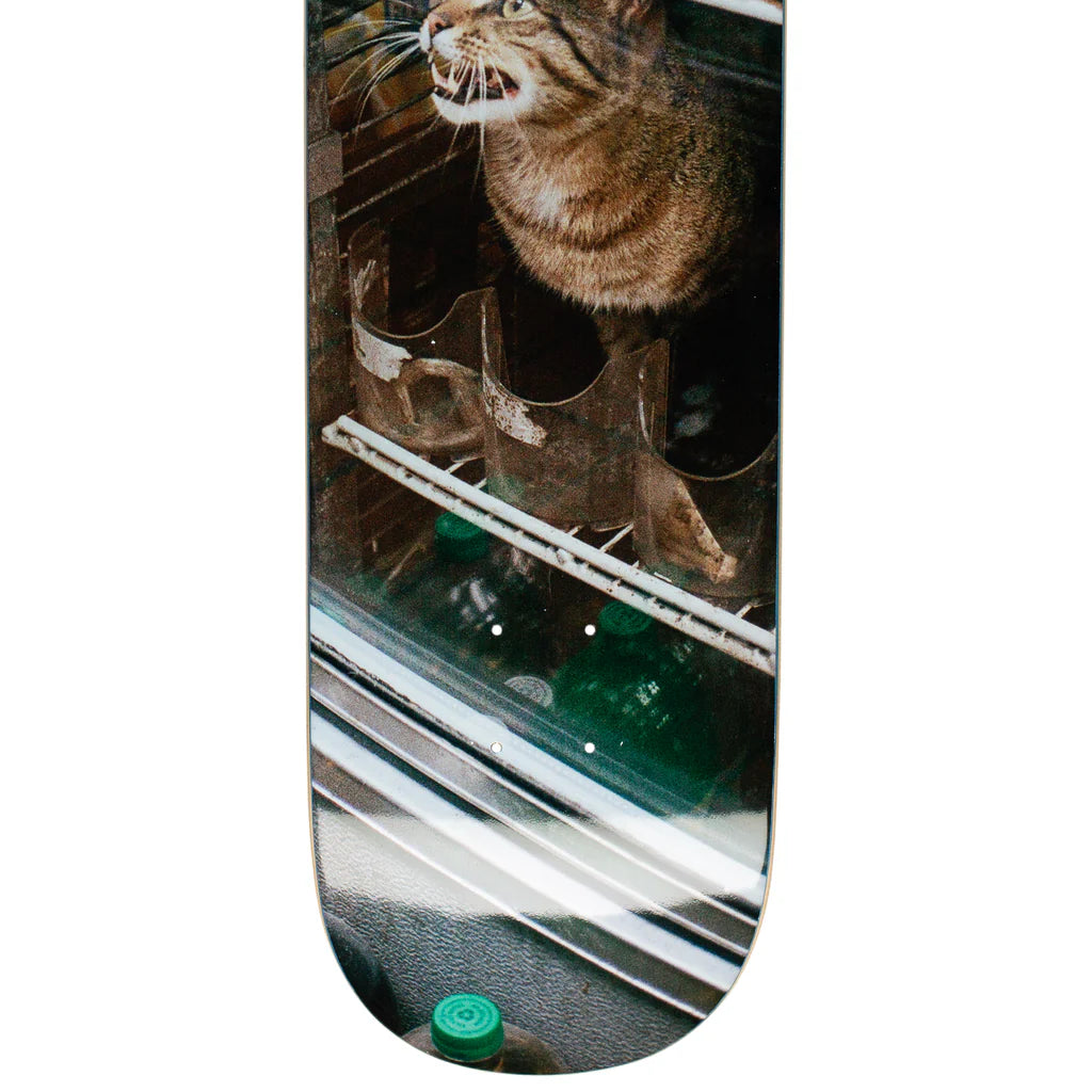 GX1000 Bodega Cat Deck - 8.25