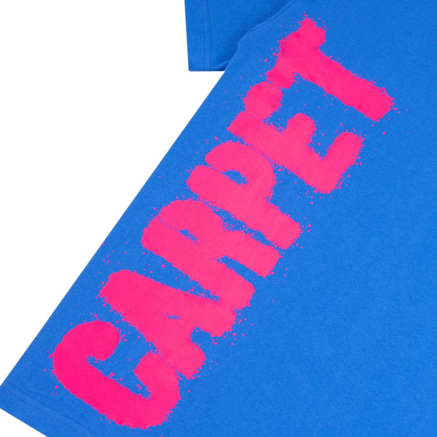 Carpet Company Jester Tee - Blue