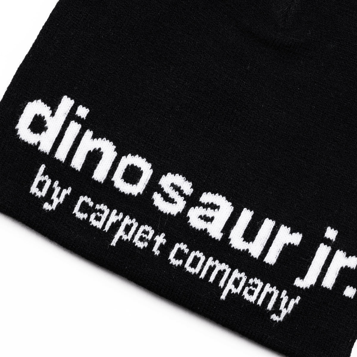 Carpet Company Dinosaur Jr Beanie - Black