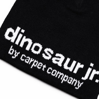 Carpet Company Dinosaur Jr Beanie - Black