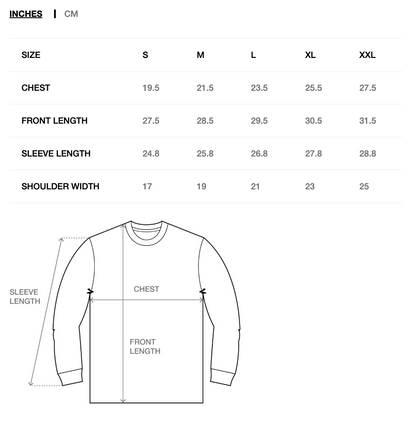 Stussy Skull Wings Pigment Dyed Longsleeve - Black