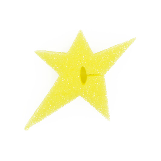 Carpet Company C-Star Sponge - Multi