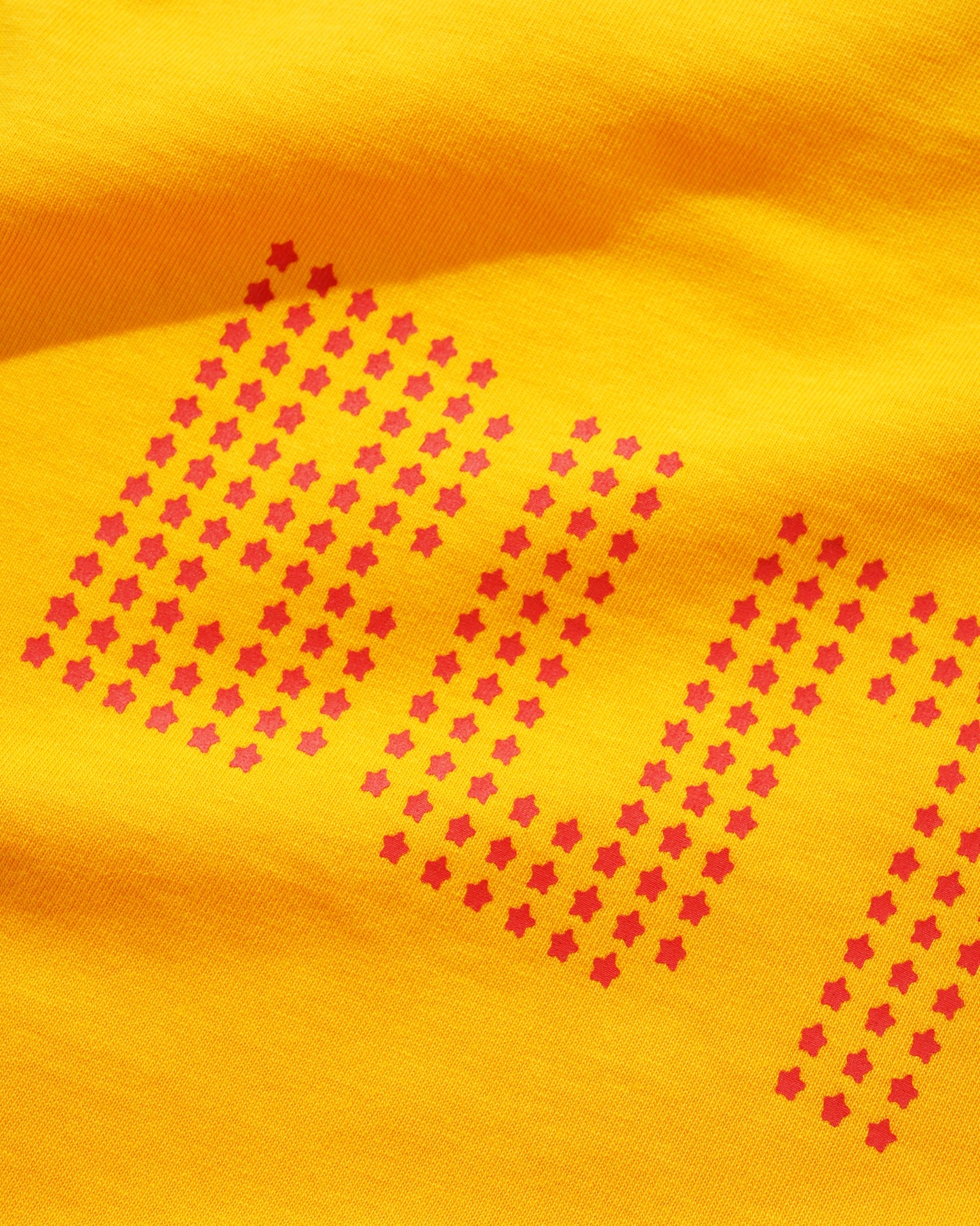 Butter Goods Stars Raglan Tee - Green/Gold