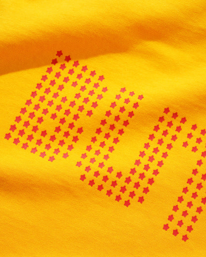 Butter Goods Stars Raglan Tee - Green/Gold