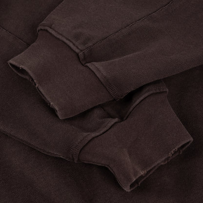 Dime Distressed Terry Zip Hoodie - Acid Brown