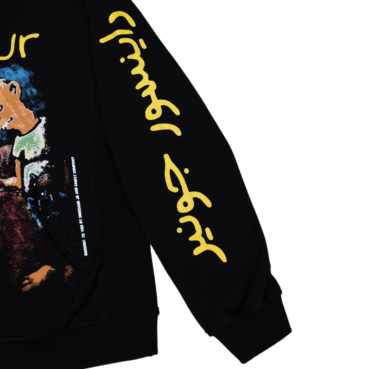 Carpet Company Dinosaur Jr Where You Been Hoodie - Black