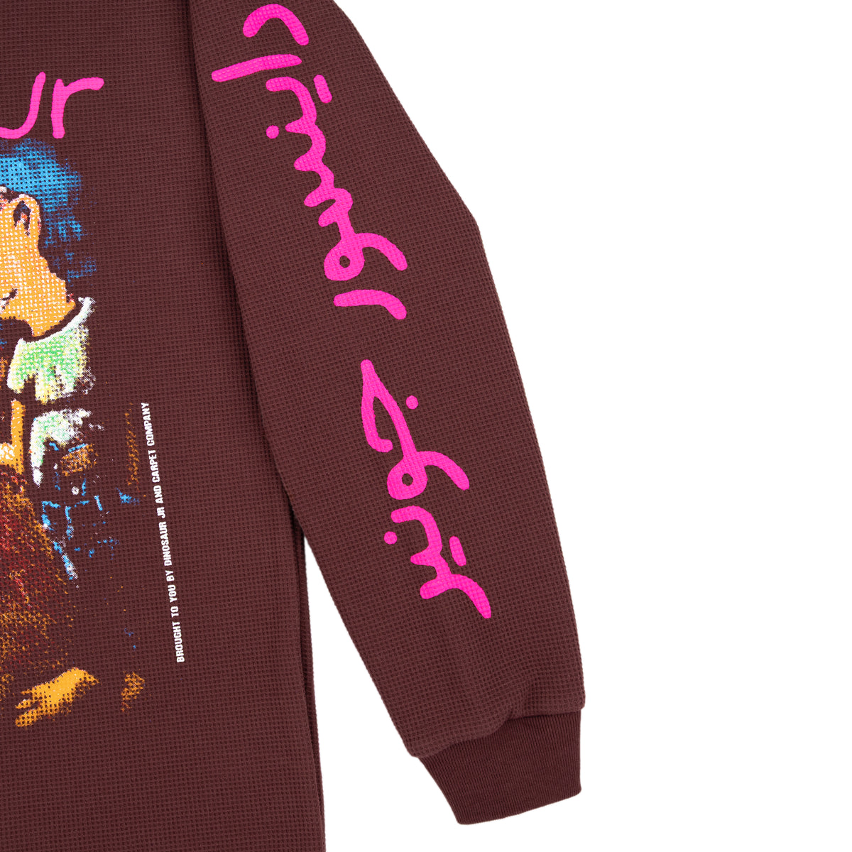 Carpet Company Dinosaur Jr Where You Been Longsleeve Thermal - Brown