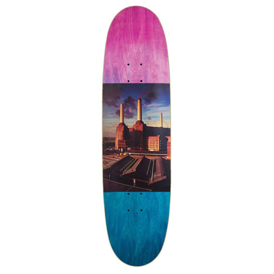 Habitat Animals Egg Deck - 8.75"