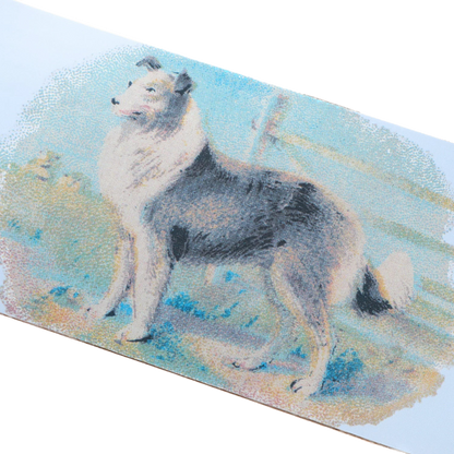 Pass-Port Hybrid Vigour Collie Deck - 8.125