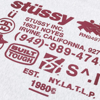 Stussy DNA Zip Hoodie - Ash