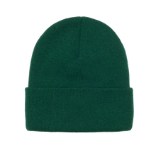 Load image into Gallery viewer, Stussy Stock Cuff Beanie - Spruce