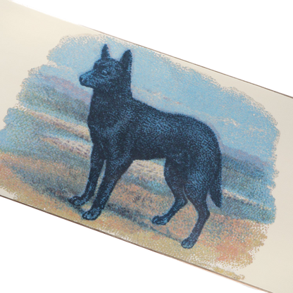 Pass-Port Hybrid Vigour Kelpie Deck - 8.25