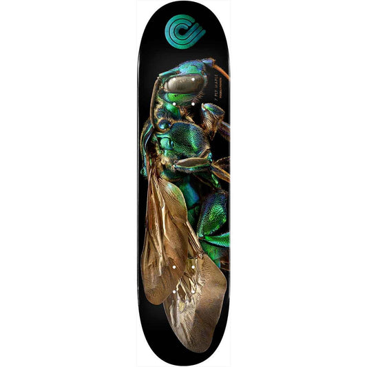 Powell Peralta Cuckoo Bee Flight Deck - 8.0