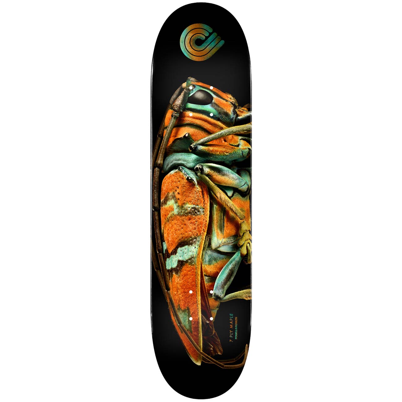 Powell Peralta Jewel Beetle Flight Deck - 9.05