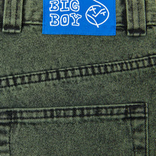 Load image into Gallery viewer, Polar Big Boy Shorts - Mint Black